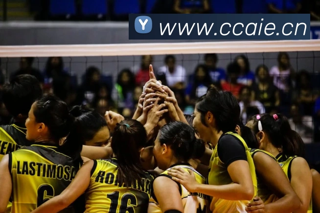 米兰app官方正版官网平台生态图